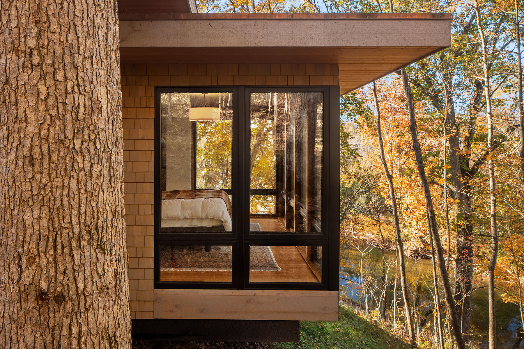 Woodland Hideaway 12